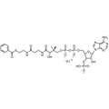 Benzoyl Coenzyme A, Lithium salt — Lyophilized powder, purity ≥ 95%, MW 871.64 g/mol (free acid basis), C28H37N7O17P3S · xLi. Coenza biochemical available from BioHippo.