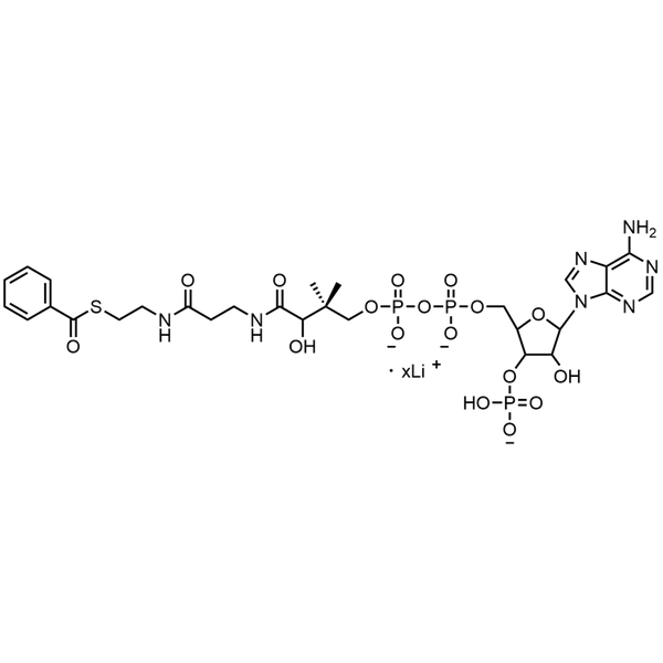 Benzoyl Coenzyme A, Lithium salt — Lyophilized powder, purity ≥ 95%, MW 871.64 g/mol (free acid basis), C28H37N7O17P3S · xLi. Coenza biochemical available from BioHippo.