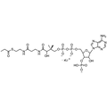 Propionyl Coenzyme A, Lithium salt — Lyophilized powder, purity ≥ 95%, MW 823.14 g/mol (free acid basis), C24H37N7O17P3S · xLi. Coenza biochemical available from BioHippo.
