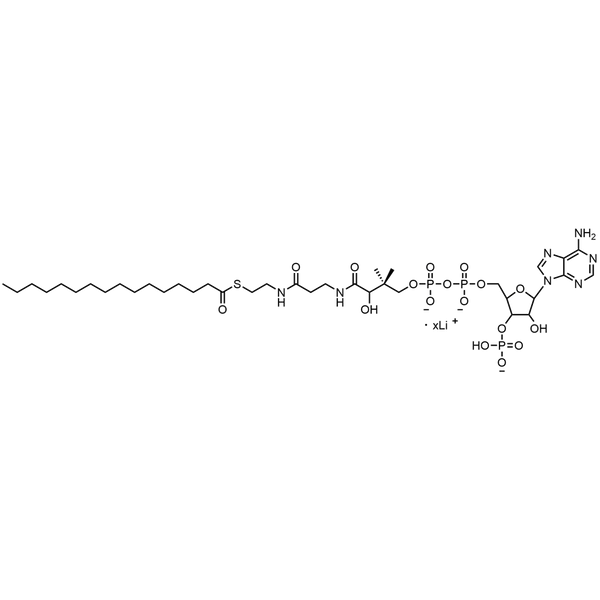 Palmitoyl Coenzyme A, Lithium salt — Lyophilized powder, purity ≥ 95%, MW 1005.95 g/mol (free acid basis), C37H63N7O17P3S · xLi. Coenza biochemical available from BioHippo.
