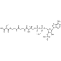 Ethylmalonyl Coenzyme A, Lithium salt — Lyophilized powder, purity ≥ 95%, MW 881.63 g/mol (free acid basis), C25H39N7O19P3S · xLi. Coenza biochemical available from BioHippo.