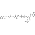 Phenylacetyl Coenzyme A, Free acid — Lyophilized powder, purity ≥ 95%, MW 885.67 g/mol, C29H42N7O17P3S. Coenza biochemical available from BioHippo.