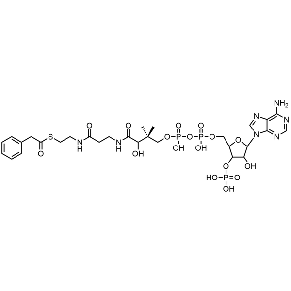 Phenylacetyl Coenzyme A, Free acid — Lyophilized powder, purity ≥ 95%, MW 885.67 g/mol, C29H42N7O17P3S. Coenza biochemical available from BioHippo.