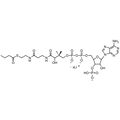 Butyryl Coenzyme A, Lithium Salt — Lyophilized powder, purity ≥ 95%, MW 837.62 g/mol (free acid basis), C25H39N7O17P3S · xLi. Coenza biochemical available from BioHippo.