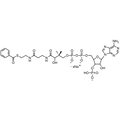 Benzoyl Coenzyme A, Sodium salt — Lyophilized powder, purity ≥ 95%, MW 871.64 g/mol (free acid basis), C28H37N7O17P3S · xNa. Coenza biochemical available from BioHippo.