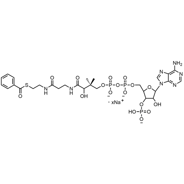 Benzoyl Coenzyme A, Sodium salt — Lyophilized powder, purity ≥ 95%, MW 871.64 g/mol (free acid basis), C28H37N7O17P3S · xNa. Coenza biochemical available from BioHippo.