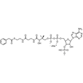Phenylacetyl Coenzyme A, Sodium salt — Lyophilized powder, purity ≥ 95%, MW 885.67 g/mol (free acid basis), C29H39N7O17P3S · xNa. Coenza biochemical available from BioHippo.