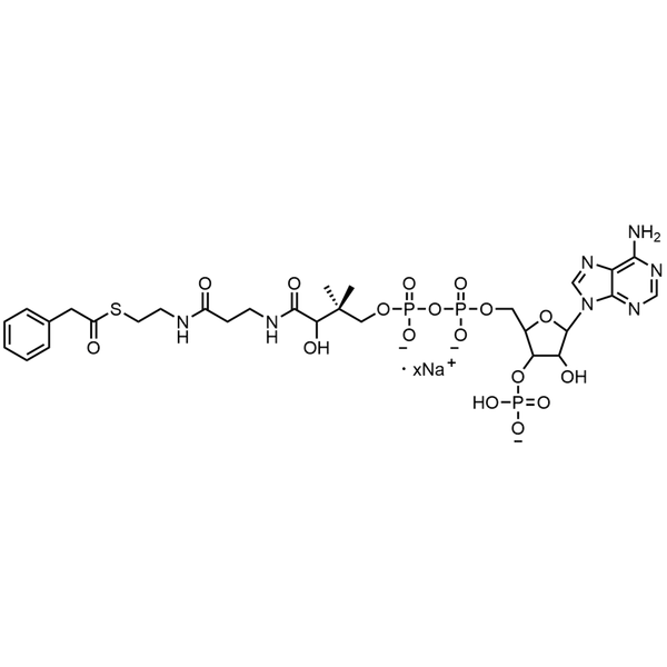 Phenylacetyl Coenzyme A, Sodium salt — Lyophilized powder, purity ≥ 95%, MW 885.67 g/mol (free acid basis), C29H39N7O17P3S · xNa. Coenza biochemical available from BioHippo.