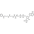 Benzoyl Coenzyme A, Free acid — Lyophilized powder, purity ≥ 95%, MW 871.64 g/mol, C28H40N7O17P3S. Coenza biochemical available from BioHippo.