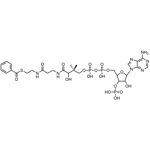 Benzoyl Coenzyme A, Free acid — Lyophilized powder, purity ≥ 95%, MW 871.64 g/mol, C28H40N7O17P3S. Coenza biochemical available from BioHippo.
