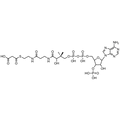 Malonyl Coenzyme A, Free Acid — Lyophilized powder, purity ≥ 95%, MW 853.58 g/mol, C24H38N7O19P3S. Coenza biochemical available from BioHippo.