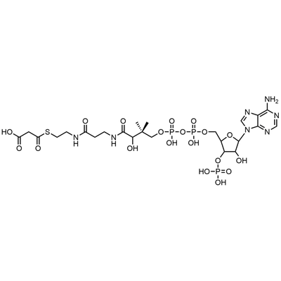Malonyl Coenzyme A, Free Acid — Lyophilized powder, purity ≥ 95%, MW 853.58 g/mol, C24H38N7O19P3S. Coenza biochemical available from BioHippo.