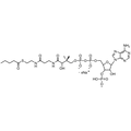Valeryl Coenzyme A, Sodium salt — Lyophilized powder, purity ≥ 95%, MW 851.65 g/mol (free acid basis), C26H41N7O17P3S · xNa. Coenza biochemical available from BioHippo.