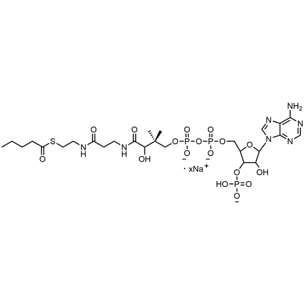 Valeryl Coenzyme A, Sodium salt — Lyophilized powder, purity ≥ 95%, MW 851.65 g/mol (free acid basis), C26H41N7O17P3S · xNa. Coenza biochemical available from BioHippo.