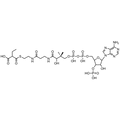 Ethylmalonyl Coenzyme A, Free acid — Lyophilized powder, purity ≥ 95%, MW 881.63 g/mol, C26H42N7O19P3S. Coenza biochemical available from BioHippo.