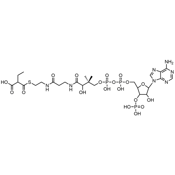 Ethylmalonyl Coenzyme A, Free acid — Lyophilized powder, purity ≥ 95%, MW 881.63 g/mol, C26H42N7O19P3S. Coenza biochemical available from BioHippo.