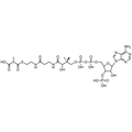 Methylmalonyl Coenzyme A, Free acid — Lyophilized powder, purity ≥ 95%, MW 867.61 g/mol, C25H40N7O19P3S. Coenza biochemical available from BioHippo.