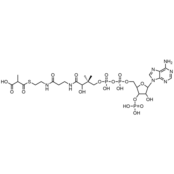 Methylmalonyl Coenzyme A, Free acid — Lyophilized powder, purity ≥ 95%, MW 867.61 g/mol, C25H40N7O19P3S. Coenza biochemical available from BioHippo.