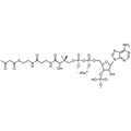 Acetoacetyl Coenzyme A, Sodium salt — Lyophilized powder, purity ≥ 95%, MW 851.61 g/mol (free acid basis), C25H37N7O18P3S · xNa. Coenza biochemical available from BioHippo.