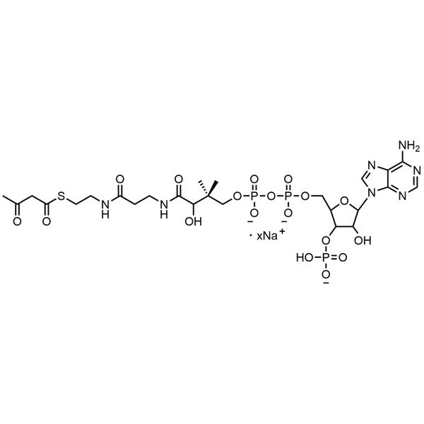 Acetoacetyl Coenzyme A, Sodium salt — Lyophilized powder, purity ≥ 95%, MW 851.61 g/mol (free acid basis), C25H37N7O18P3S · xNa. Coenza biochemical available from BioHippo.
