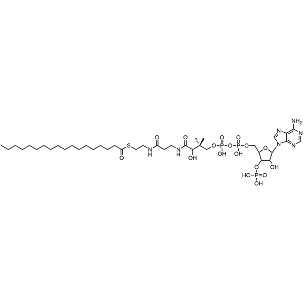 Stearoyl Coenzyme A, Free acid — Lyophilized powder, purity ≥ 95%, MW 1034.00 g/mol, C39H70N7O17P3S. Coenza biochemical available from BioHippo.