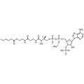 Hexanoyl Coenzyme A, Sodium salt — Lyophilized powder, purity ≥ 95%, MW 865.68 g/mol (free acid basis), C27H43N7O17P3S · xNa. Coenza biochemical available from BioHippo.