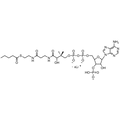 Valeryl Coenzyme A, Lithium salt — Lyophilized powder, purity ≥ 95%, MW 851.65 g/mol (free acid basis), C26H41N7O17P3S · xLi. Coenza biochemical available from BioHippo.