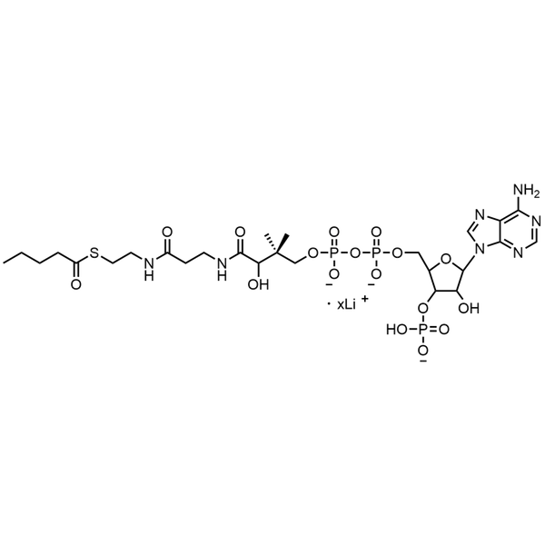 Valeryl Coenzyme A, Lithium salt — Lyophilized powder, purity ≥ 95%, MW 851.65 g/mol (free acid basis), C26H41N7O17P3S · xLi. Coenza biochemical available from BioHippo.
