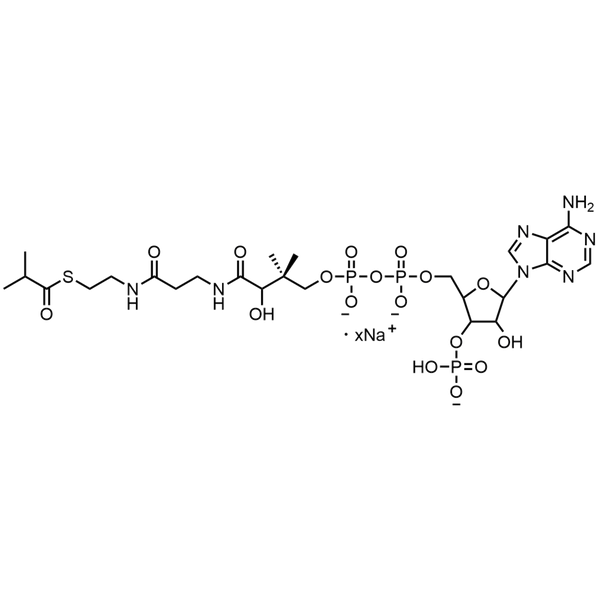 Isobutyryl Coenzyme A, Sodium salt — Lyophilized powder, purity ≥ 95%, MW 837.62 g/mol (free acid basis), C25H39N7O17P3S · xNa. Coenza biochemical available from BioHippo.