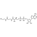 3’-Dephosphocoenzyme A, Free acid — Lyophilized powder, purity ≥ 95%, MW 687.55 g/mol, C21H35N7O13P2S. Coenza biochemical available from BioHippo.