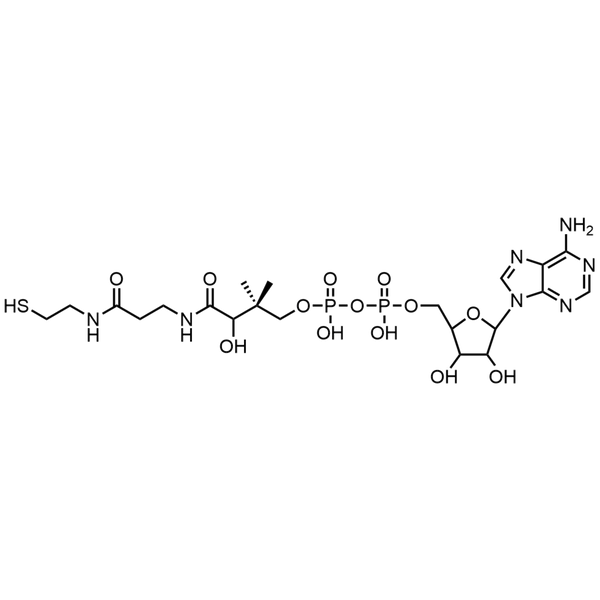 3’-Dephosphocoenzyme A, Free acid — Lyophilized powder, purity ≥ 95%, MW 687.55 g/mol, C21H35N7O13P2S. Coenza biochemical available from BioHippo.