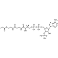 Propionyl Coenzyme A, Free acid — Lyophilized powder, purity ≥ 95%, MW 823.60 g/mol, C24H40N7O17P3S. Coenza biochemical available from BioHippo.