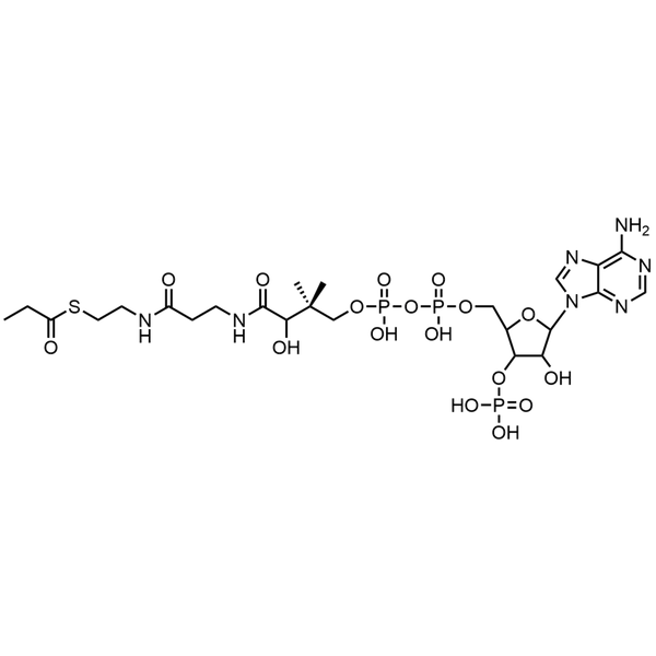 Propionyl Coenzyme A, Free acid — Lyophilized powder, purity ≥ 95%, MW 823.60 g/mol, C24H40N7O17P3S. Coenza biochemical available from BioHippo.