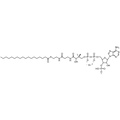 Stearoyl Coenzyme A, Lithium salt — Lyophilized powder, purity ≥ 95%, MW 1034.00 g/mol (free acid basis), C39H67N7O17P3S · xLi. Coenza biochemical available from BioHippo.