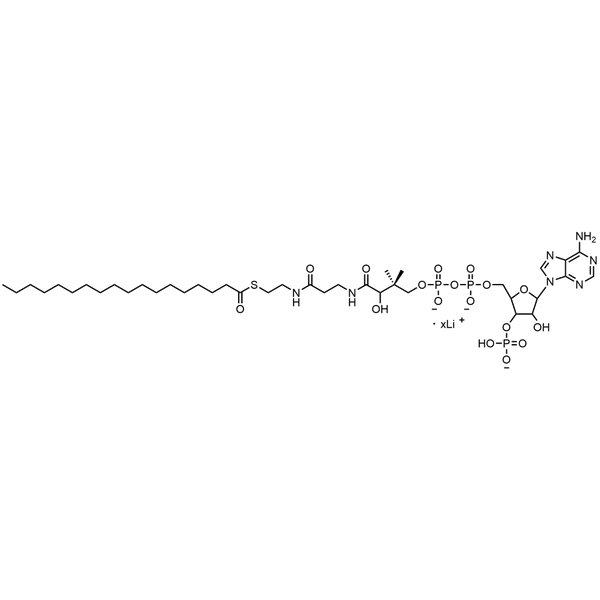Stearoyl Coenzyme A, Lithium salt — Lyophilized powder, purity ≥ 95%, MW 1034.00 g/mol (free acid basis), C39H67N7O17P3S · xLi. Coenza biochemical available from BioHippo.