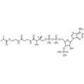 Isobutyryl Coenzyme A, Free acid — Lyophilized powder, purity ≥ 95%, MW 837.62 g/mol, C25H42N7O17P3S. Coenza biochemical available from BioHippo.