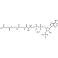 Succinyl Coenzyme A, Sodium salt — Lyophilized powder, purity ≥ 95%, MW 867.61 g/mol (free acid basis), C25H37N7O19P3S · xNa. Coenza biochemical available from BioHippo.