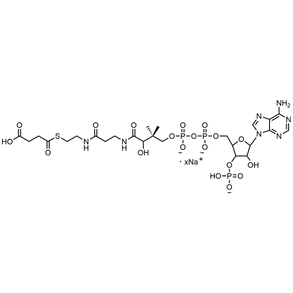 Succinyl Coenzyme A, Sodium salt — Lyophilized powder, purity ≥ 95%, MW 867.61 g/mol (free acid basis), C25H37N7O19P3S · xNa. Coenza biochemical available from BioHippo.