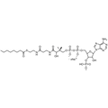 Octanoyl Coenzyme A, Sodium salt — Lyophilized powder, purity ≥ 95%, MW 893.73 g/mol (free acid basis), C29H47N7O17P3S · xNa. Coenza biochemical available from BioHippo.