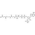 Succinyl Coenzyme A, Free acid — Lyophilized powder, purity ≥ 95%, MW 867.61 g/mol, C25H40N7O19P3S. Coenza biochemical available from BioHippo.