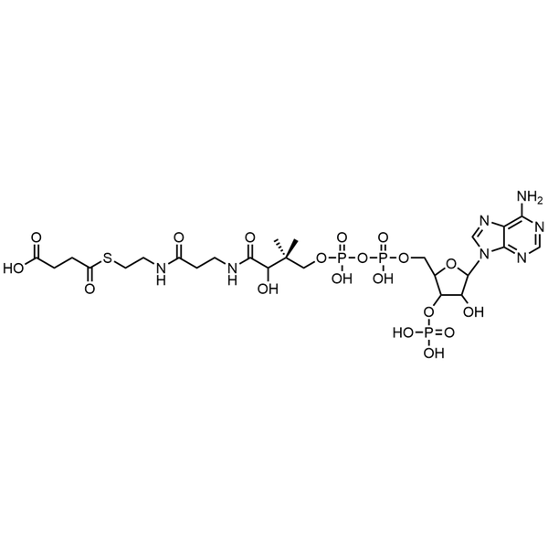 Succinyl Coenzyme A, Free acid — Lyophilized powder, purity ≥ 95%, MW 867.61 g/mol, C25H40N7O19P3S. Coenza biochemical available from BioHippo.