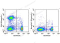 PE/Cyanine7 Anti-Rat CD8a Antibody[OX-8] – Figure 1 of 2