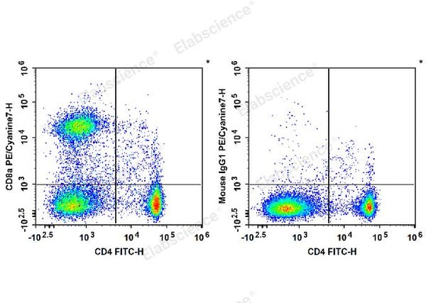 PE/Cyanine7 Anti-Rat CD8a Antibody[OX-8] – Figure 1 of 2