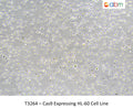 Cas9 Expressing HL-60 Cell Line | Applied Biological Materials (abm)