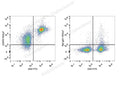 PE/Cyanine7 Anti-Mouse CD272/BTLA Antibody[PK18.6] – Figure 1 of 2
