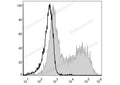 PE Anti-Mouse MHC II (I-A/I-E) Antibody[M5/114] – Figure 1 of 2