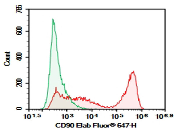 Purified Anti-Mouse CD90 Antibody[M5/49.4.1] – Figure 1 of 2