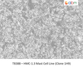 HMC-1.3 Mast Cell Line (Clone 1H9) ; <span style="color: #ef6331;">Not capable of histamine release (degranulation)</span> | Applied Biological Materials (abm)