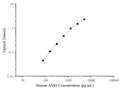 Uncoated Human AMH (Anti-Mullerian Hormone) ELISA Kit – Figure 1 of 4