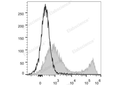 PerCP/Cyanine5.5 Anti-Mouse CD90.2/Thy1.2 Antibody[30H12] – Figure 1 of 2